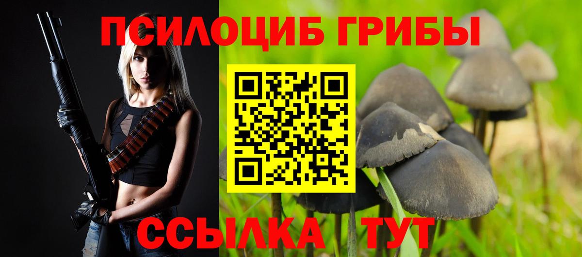 Холмск  Псилоцибиновые грибы ЛСД  Вход с VPN  Галлюциногенные грибы Psilocybine cubensis 